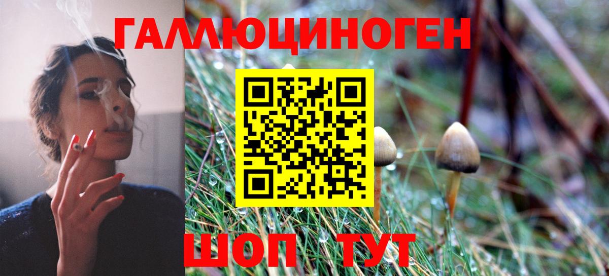 Советская Гавань  Галлюциногенные грибы мицелий  Галлюциногенные грибы прущие грибы  Вход с VPN 