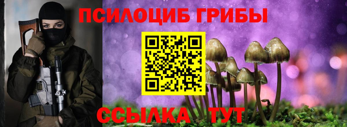 Псилоцибиновые грибы MAGIC MUSHROOMS Советская Гавань